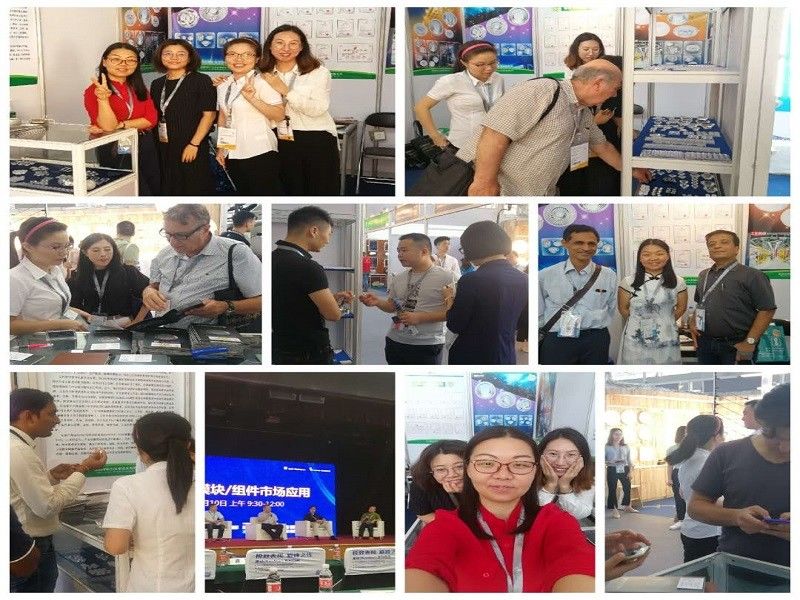 CHINA Sunshine Opto-electronics Enterprise Co.,ltd Bedrijfsprofiel