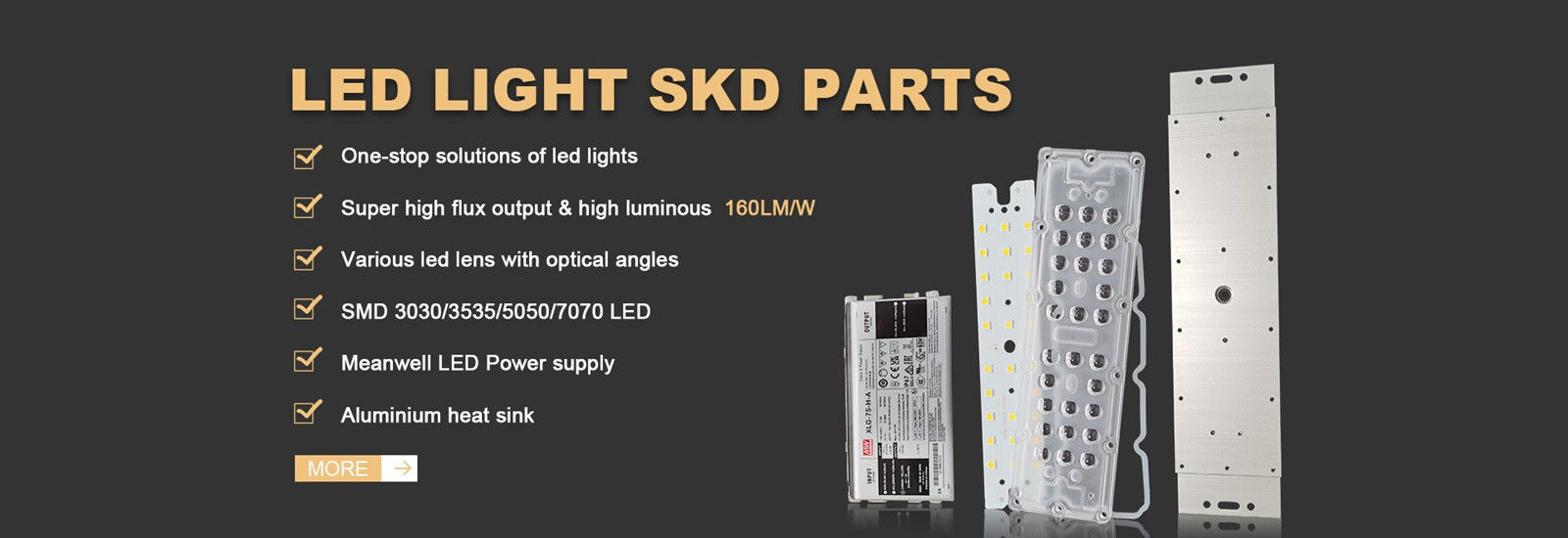 LEIDENE Straatlantaarnmodule